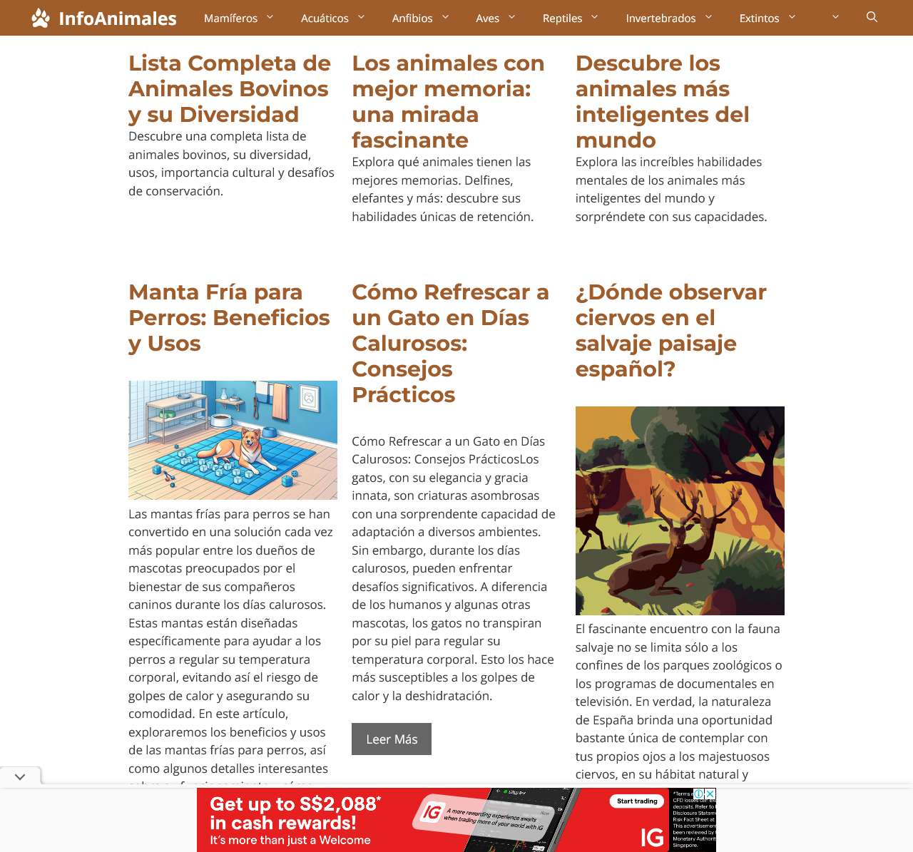 InfoAnimales