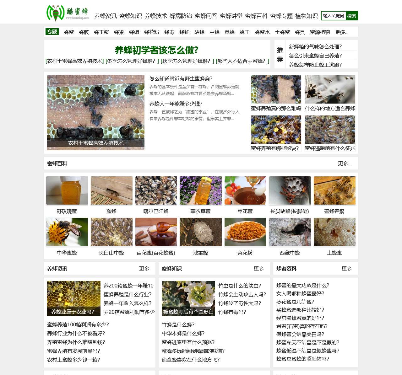 酷蜜蜂