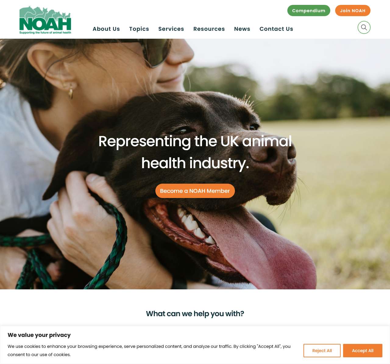 Home page