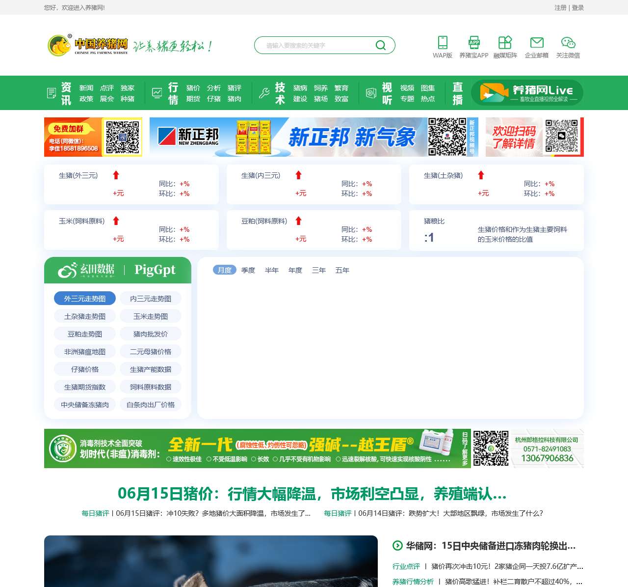 中国养猪网